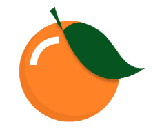 Citrio Solutions Logo
